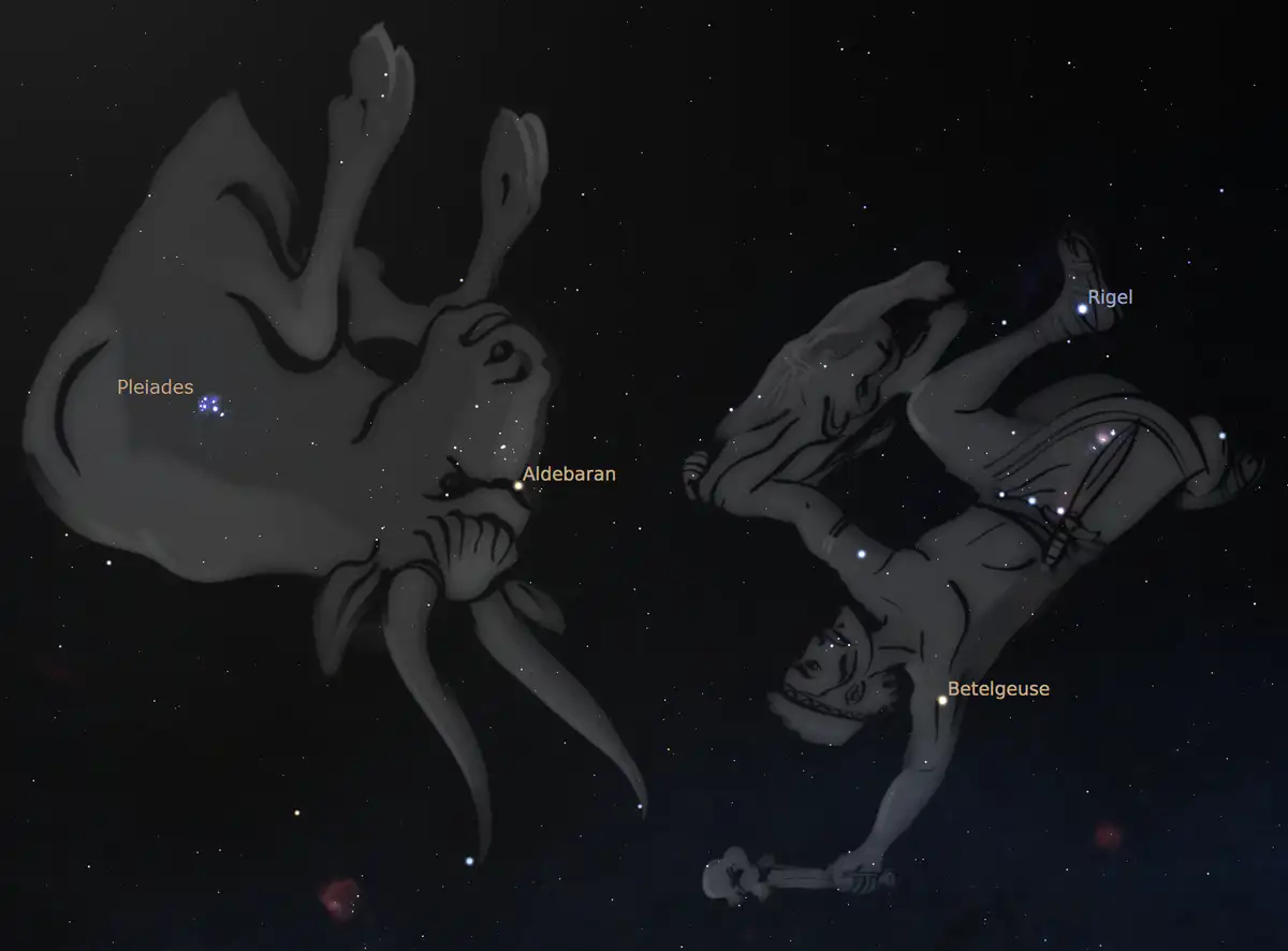 Orion (right) fights Taurus the bull (middle) while pursuing the seven sisters of the Pleiades (left), as seen from Australia. Stellarium